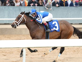 Rady to Roll (Coady Photograpy/Oaklawn)