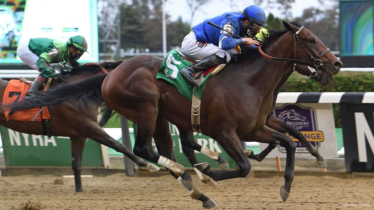 Attractive value in the Kentucky Derby Future Wager The TwinSpires Edge