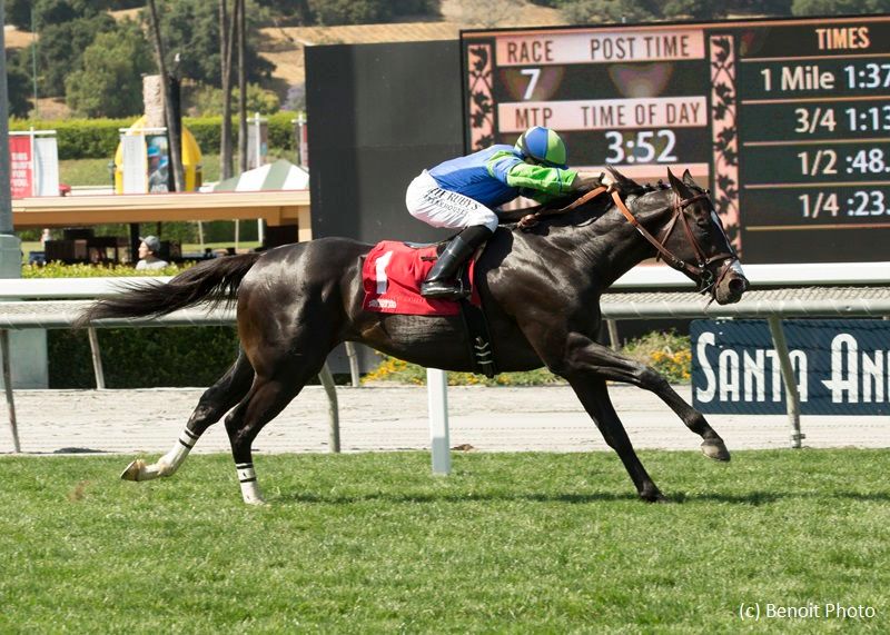 Santa Anita stakes plays for February 8 The TwinSpires Edge