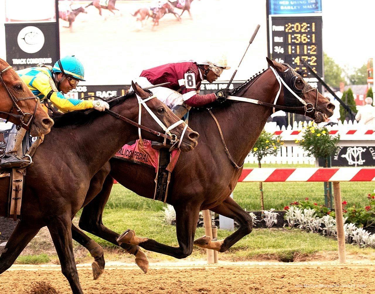 A single and a longshot for Pimlico's Pick 5 and Pick 6 carryovers