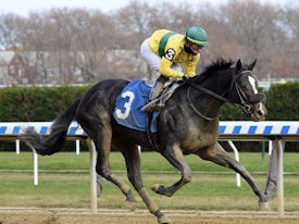 Three Technique (Coglianese Photos/Chelsea Durand)