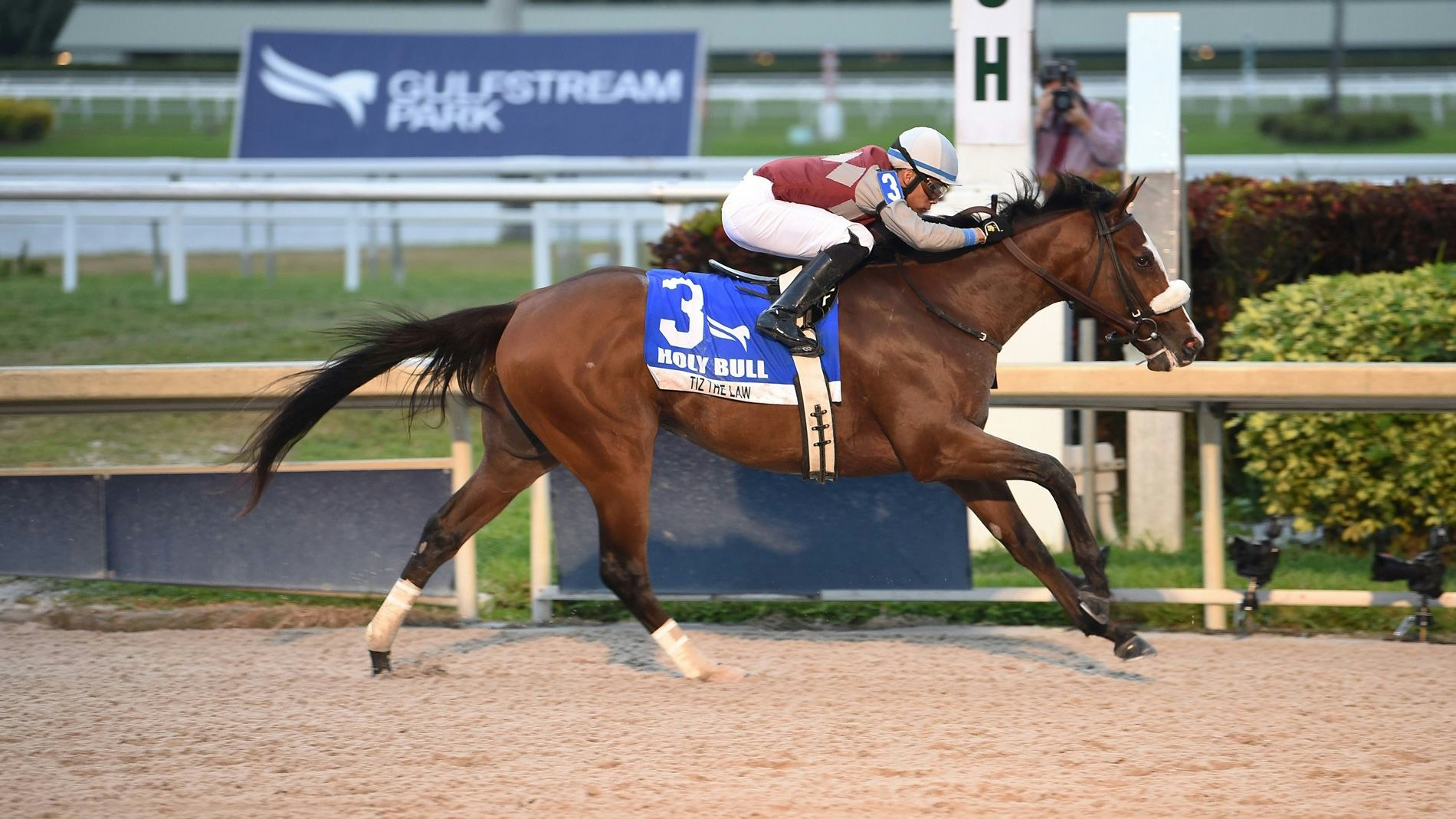 Scully Playing the mandatory Rainbow Pick 6 at Gulfstream The