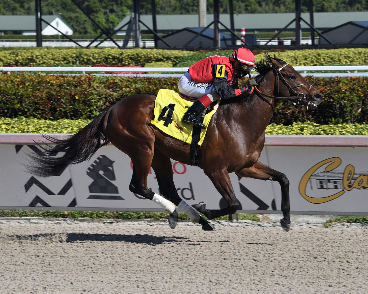 Kentucky Derby Maiden Watch Chad Brown, Bill Mott saddle multiple
