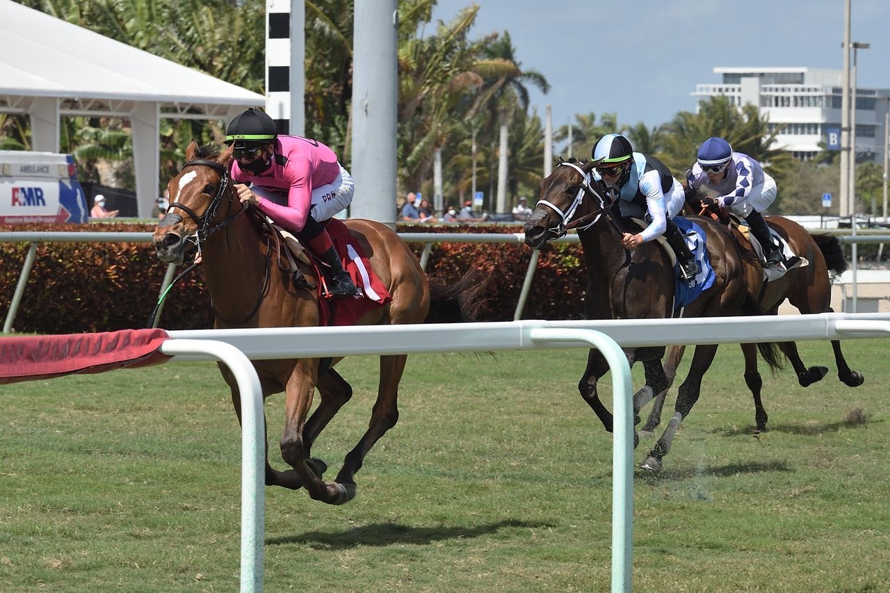 How to bet the Gulfstream Park Oaks The TwinSpires Edge
