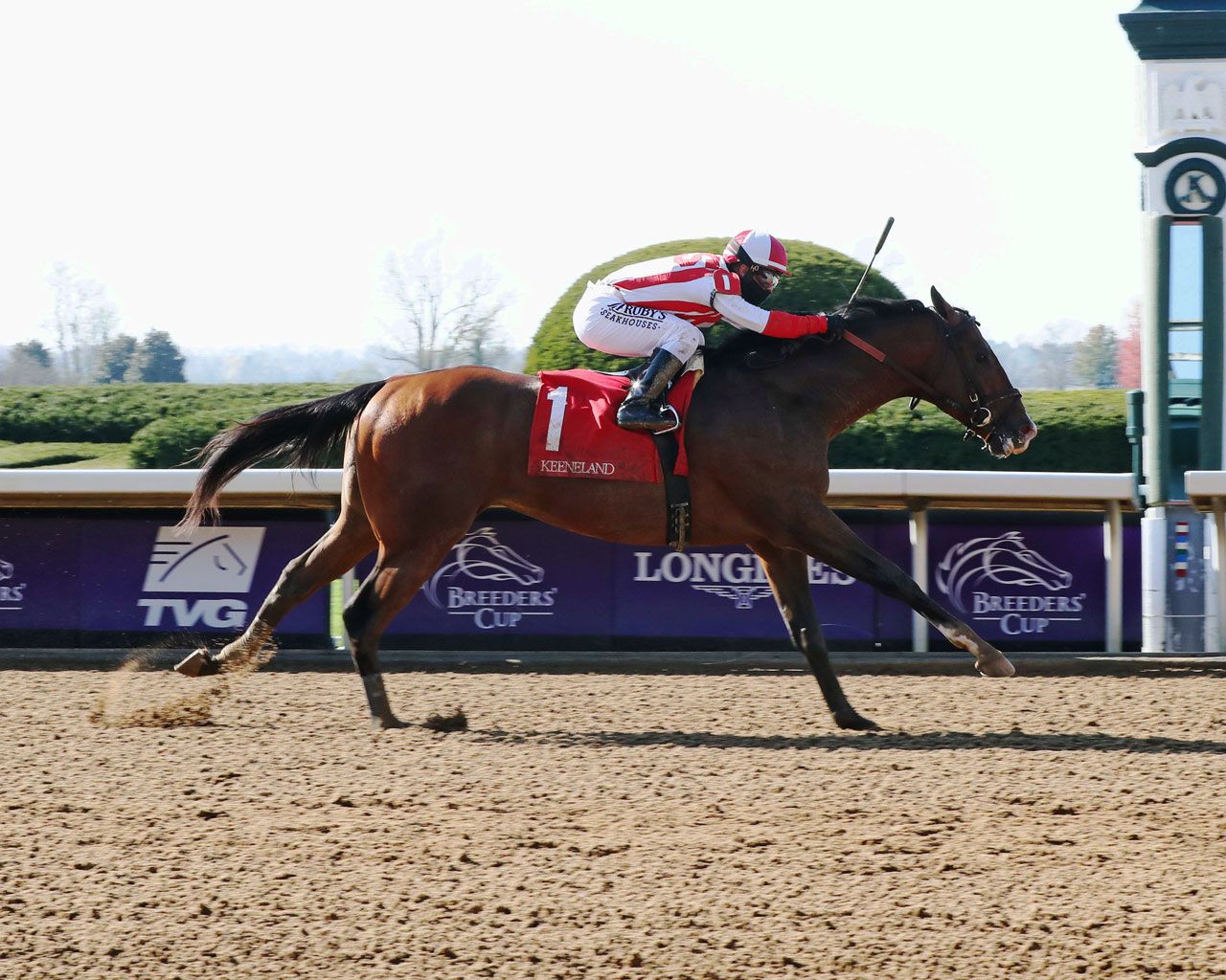 Kentucky Derby Pedigree Profile: Highly Motivated | The TwinSpires Edge